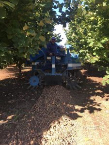Oregon Hazelnut Grower